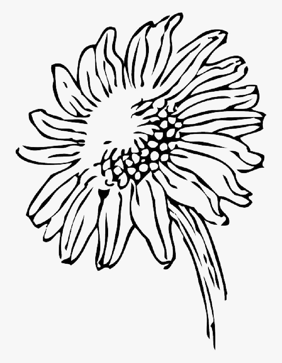 Sun Drawing Black And White At Getdrawings - Sunflower Black And White Clipart, Transparent Clipart