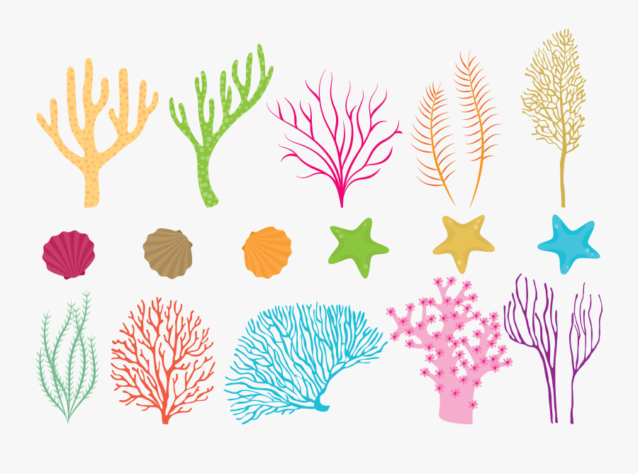 Clip Art Coral Reef Vector, Transparent Clipart