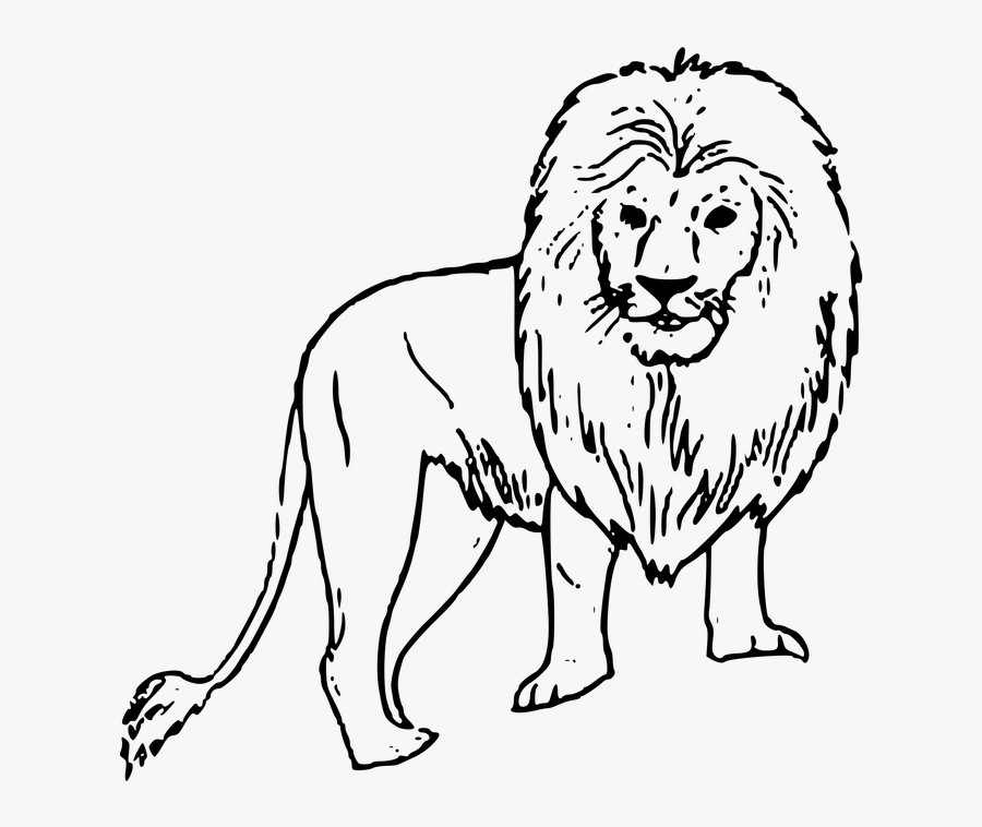 Clip Art Mountain Image Download - Lion Pic Black And White, Transparent Clipart
