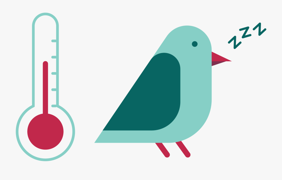 Perching Bird, Transparent Clipart