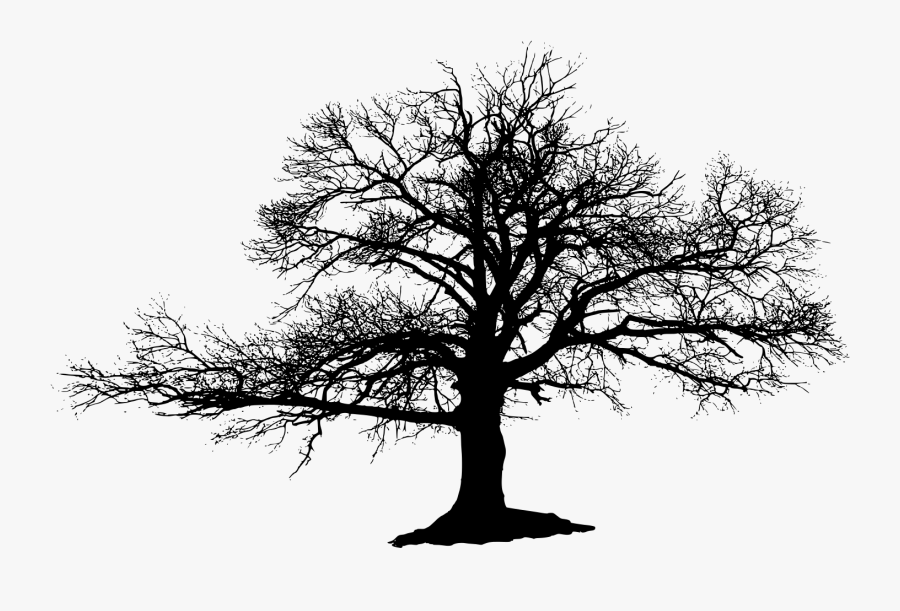 Dead Trees Black And White Drawings Download - Trees Svg Transparent, Transparent Clipart