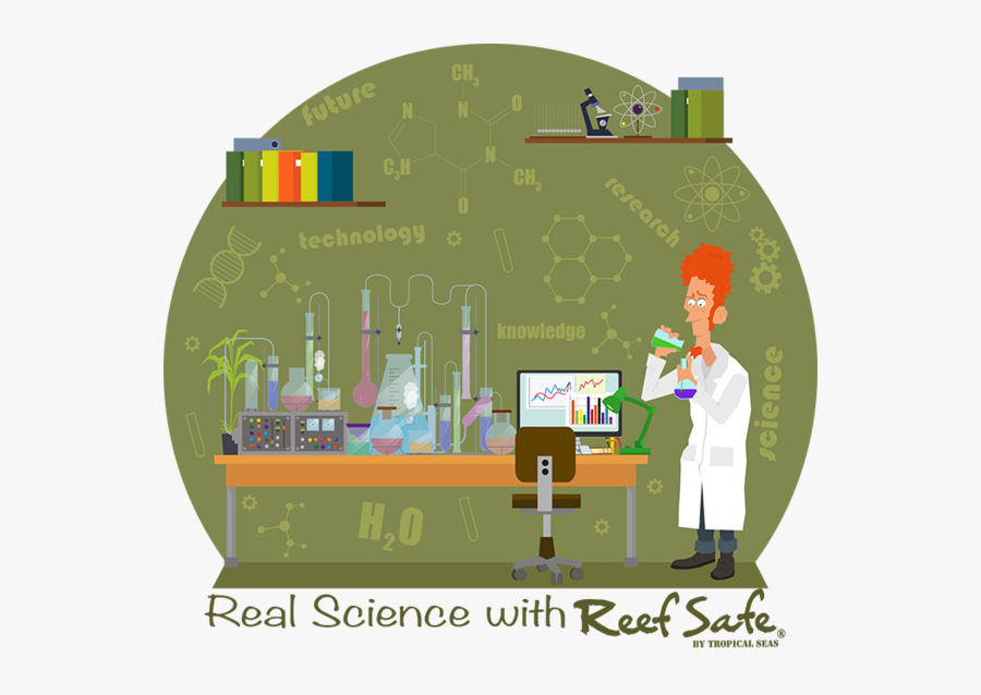 Illustration, Transparent Clipart