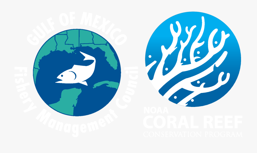 Noaa Coral Reef Conservation Program, Transparent Clipart