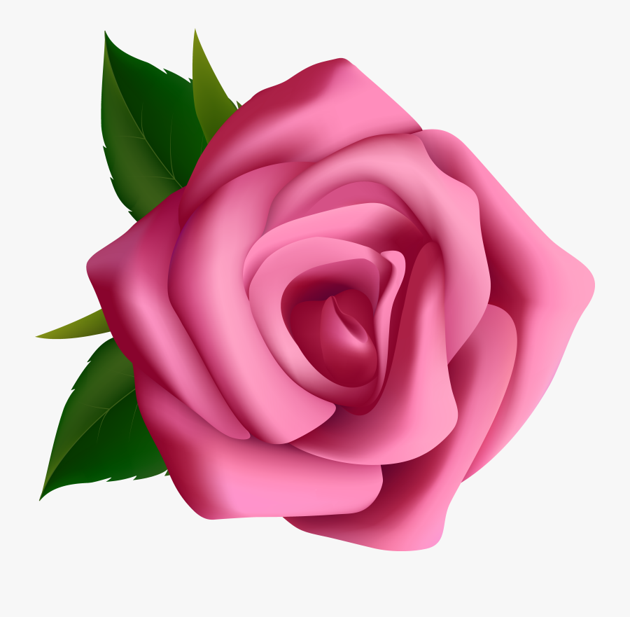 Clip Art Rose Clipart - Free Pink Rose Clipart, Transparent Clipart