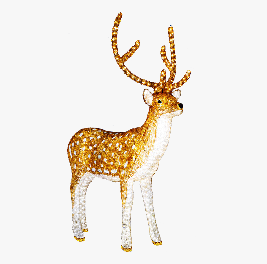 Illuminated Reindeer Clip Art - Light Up Reindeer Png, Transparent Clipart