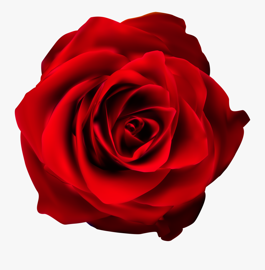 Free Rose Clipart Public Domain Flower Clip Art, Images - Red Rose With Transparent Background, Transparent Clipart