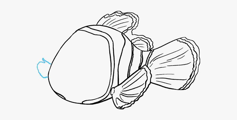 Drawn Coral Reef Sketch - Black And White Nemo, Transparent Clipart