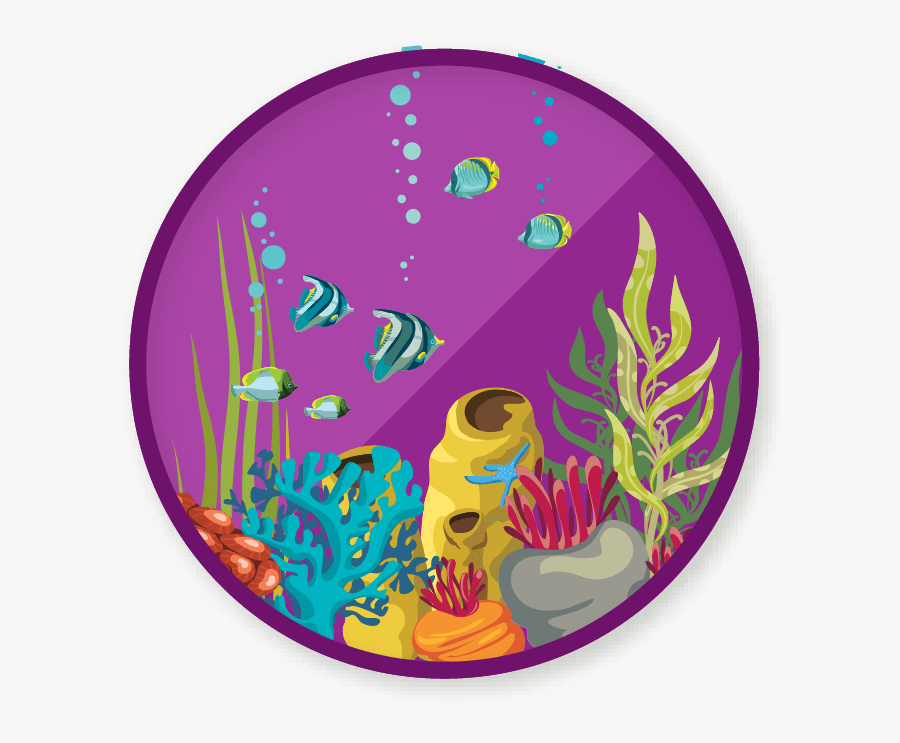 Circle, Transparent Clipart