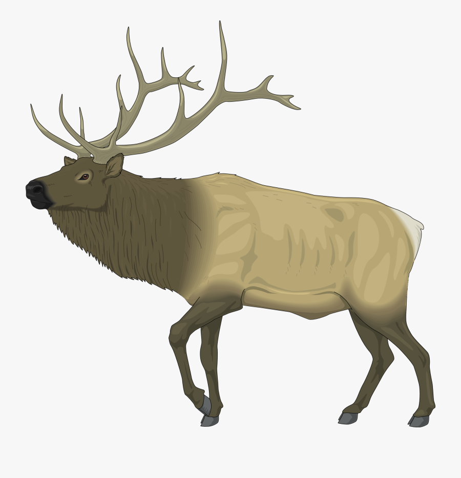 Transparent Reindeer Clip Art - Elk Clip Art, Transparent Clipart