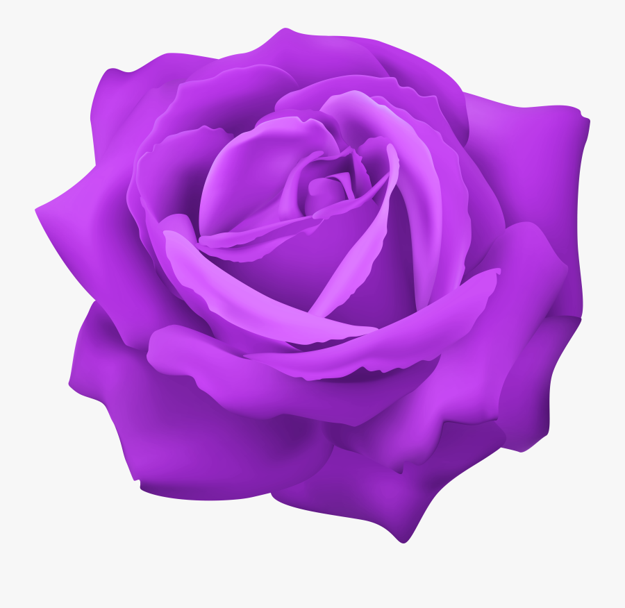 Clipart Roses Purple, Transparent Clipart