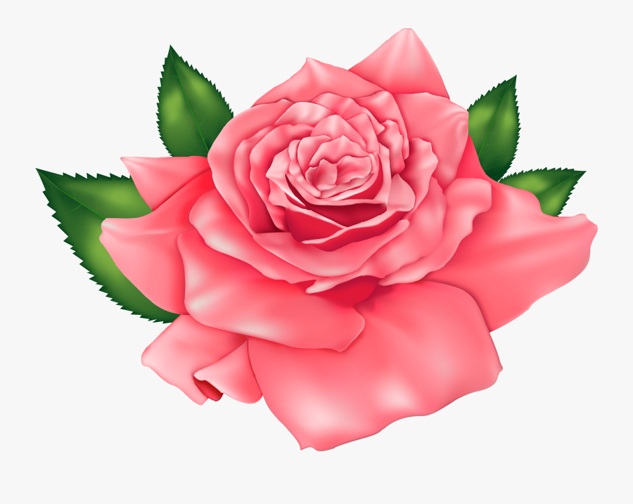 Go To Image - Rosa En Png, Transparent Clipart