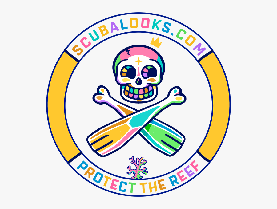 Federal Reserve Bank Of Chicago Png, Transparent Clipart