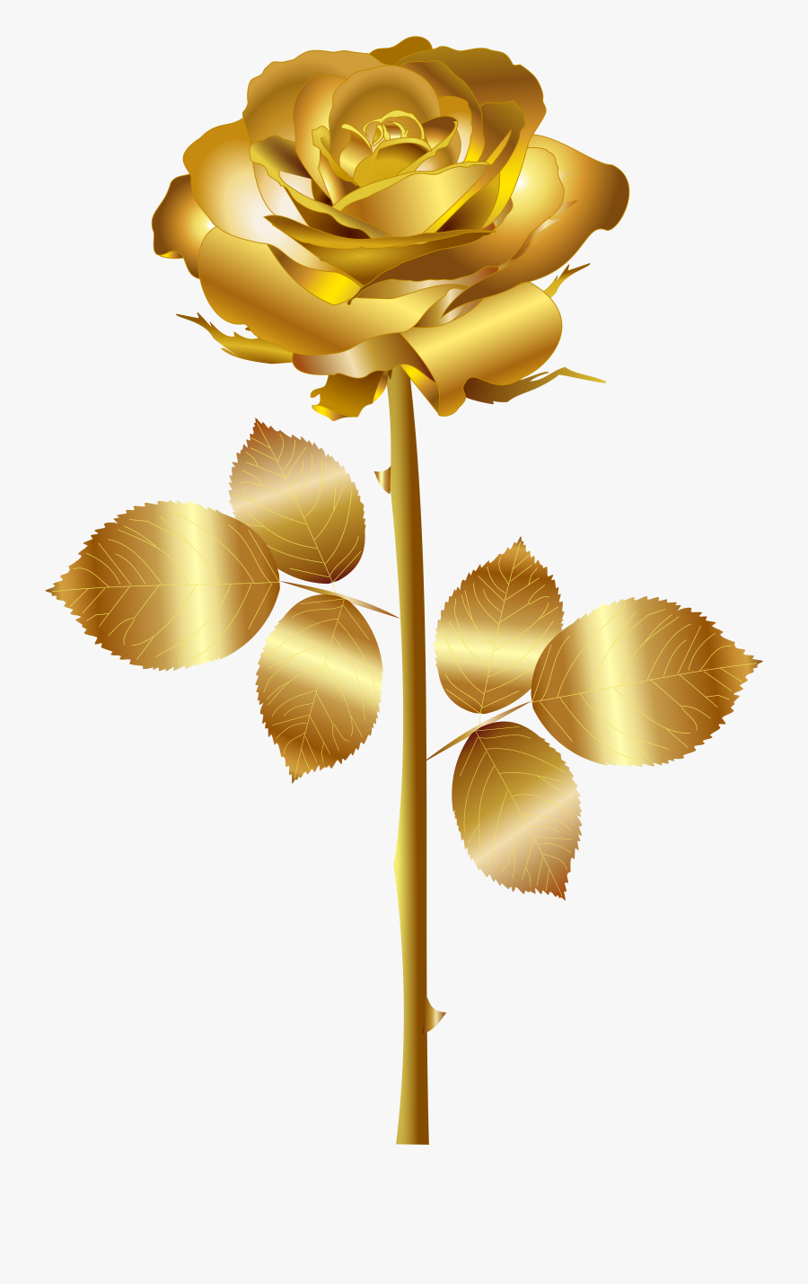 Yellow,cut Art,petal,rose Family,plant Roses,austrian - Gold Rose Vector Png, Transparent Clipart