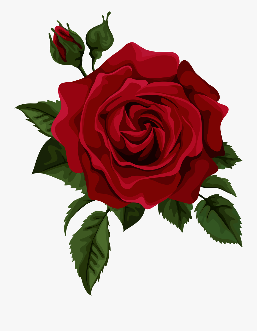 Red Rose With Bud - Red Rose Drawing Png, Transparent Clipart