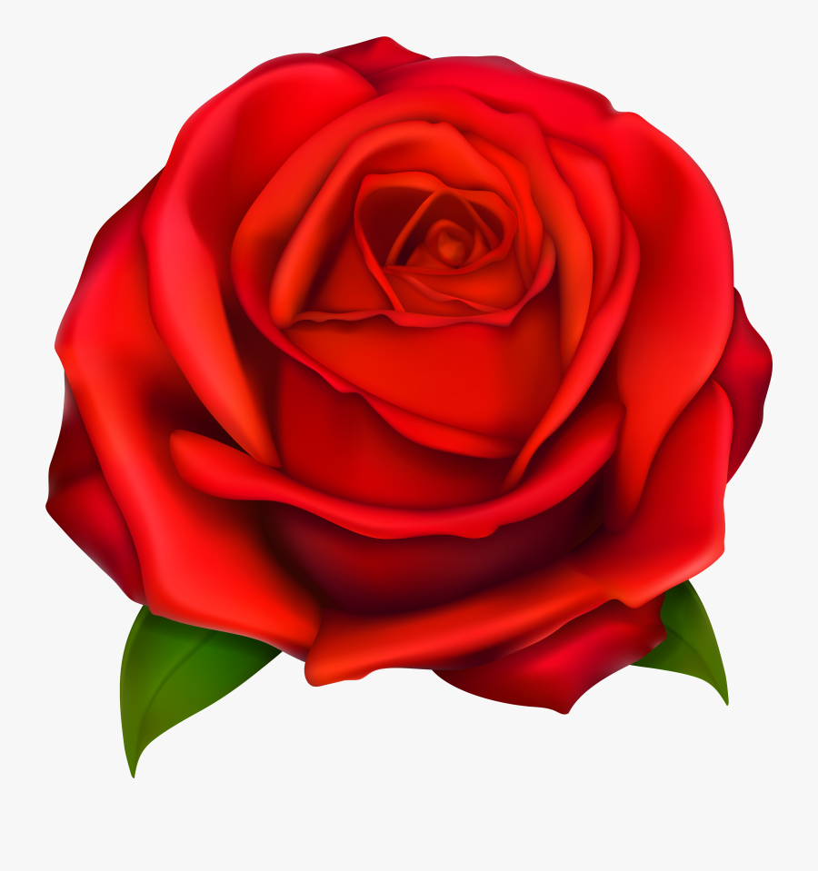 Gothic Clipart Of Rose, Roses And Red, Transparent Clipart