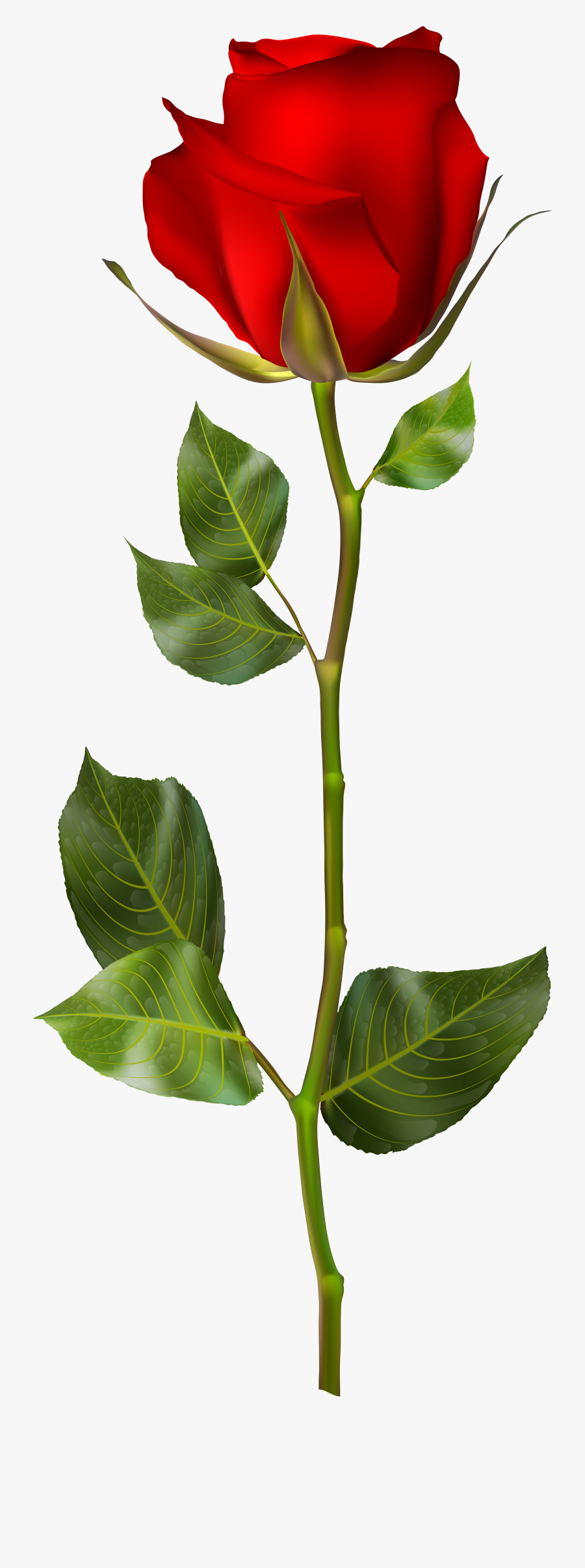 Red Rose Png Clip Art, Transparent Clipart