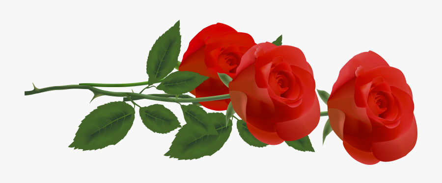 Free Download Best On, Transparent Clipart