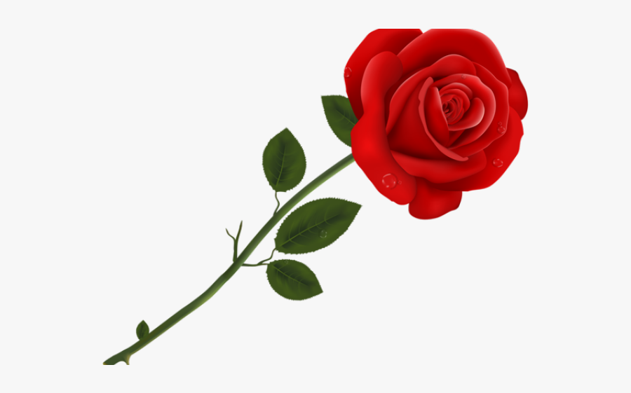 Roses Clip Art, Transparent Clipart