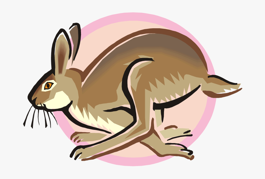 Rabbit Clip Art, Transparent Clipart