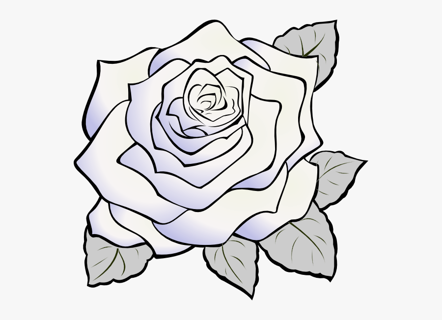 White Rose Clip Art 47 101 White Rose Clipart Clipart, Transparent Clipart