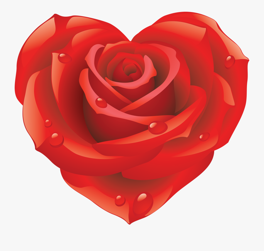 Rose Png Flower Images, Free Download Clip Art Royalty, Transparent Clipart