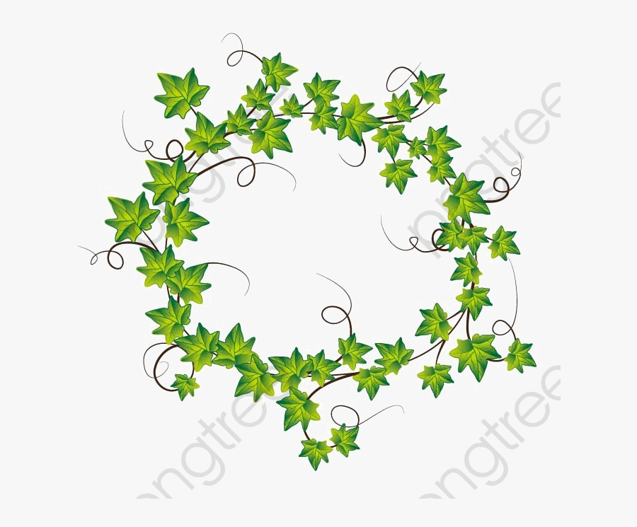 Ivy Wreath, Transparent Clipart