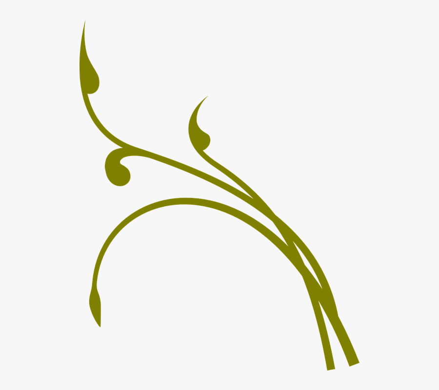 Pumpkin With Vine Clipart Black And White , Free Transparent Clipart