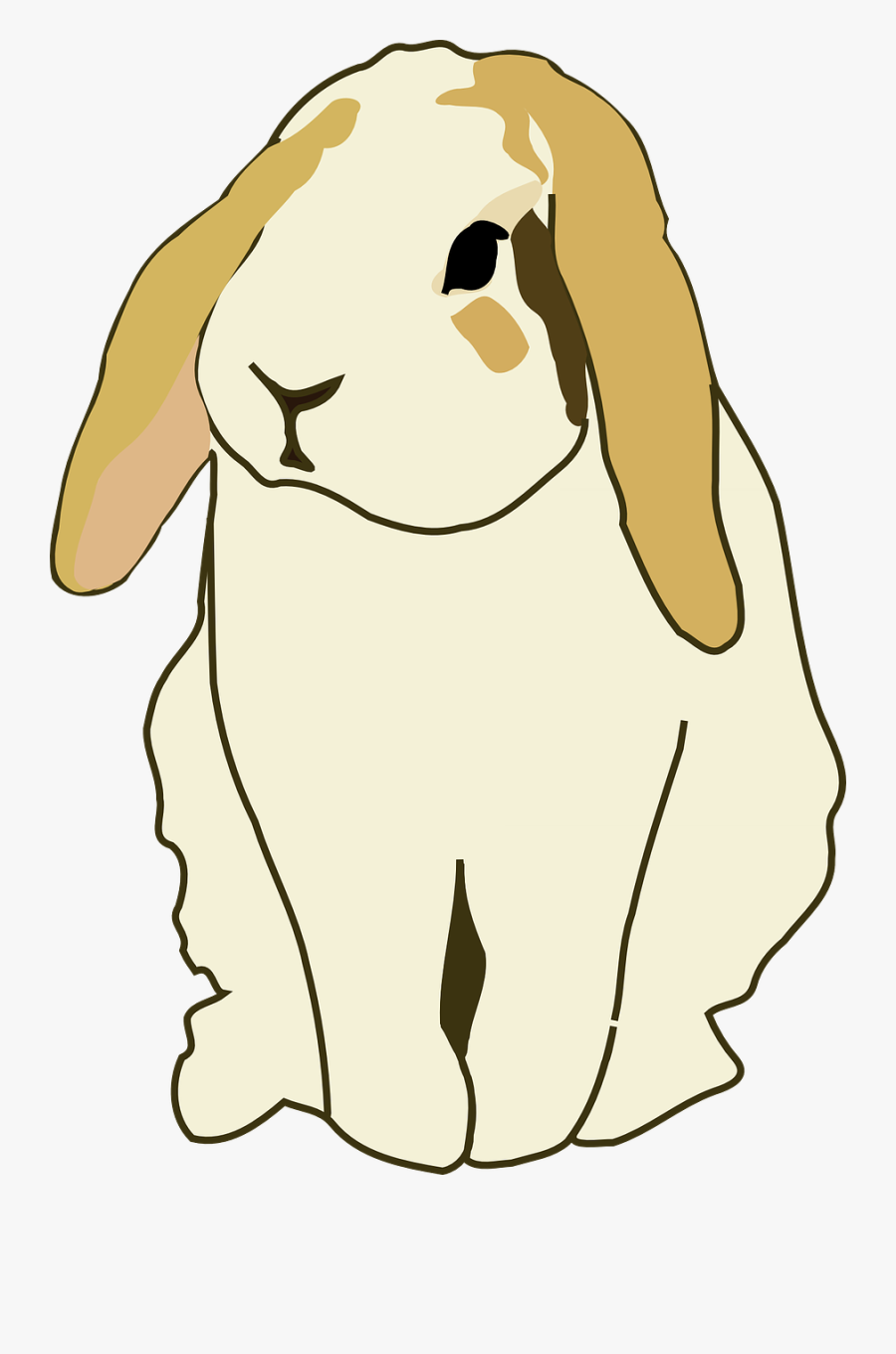 Rabbit Clipart Holland Lop, Transparent Clipart