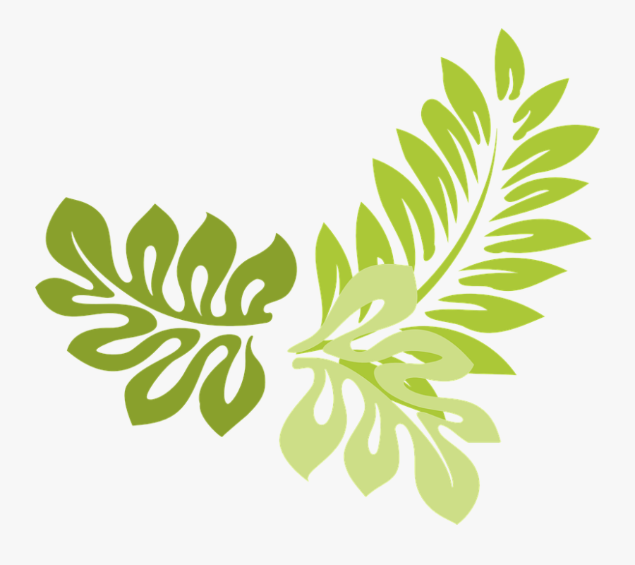 Fern Clipart Leafy Vine, Transparent Clipart