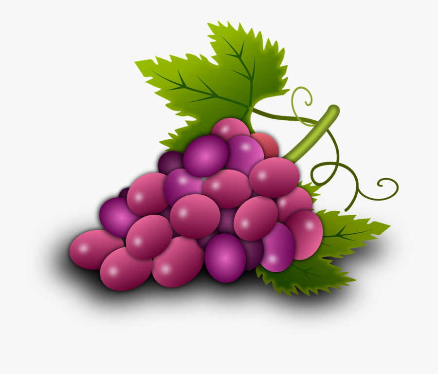 Grapes Vine Vineyard Wine Png Image Clipart , Png Download, Transparent Clipart