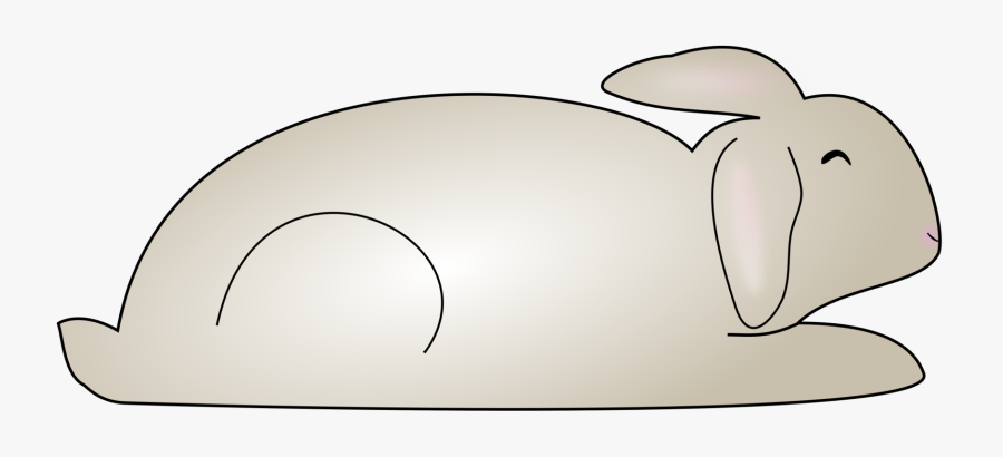 Rabits And Hares,carnivoran,rabbit, Transparent Clipart