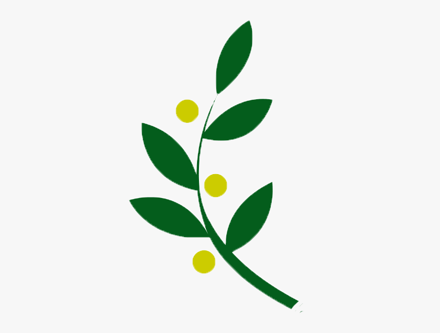 Olive Vine Recording Company, Transparent Clipart