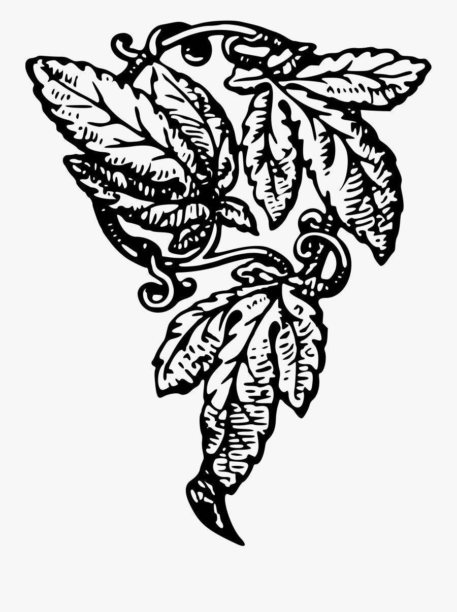 Vine, Transparent Clipart
