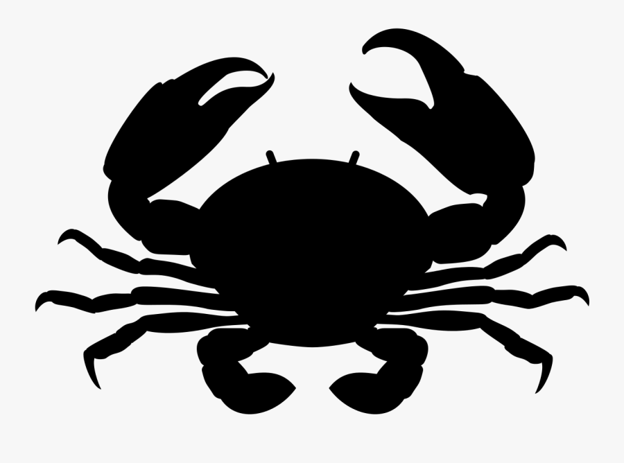 Support The Right To Bears Sticker Qty, Transparent Clipart