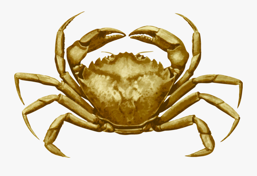 Decapoda,animal Source Foods,food, Transparent Clipart