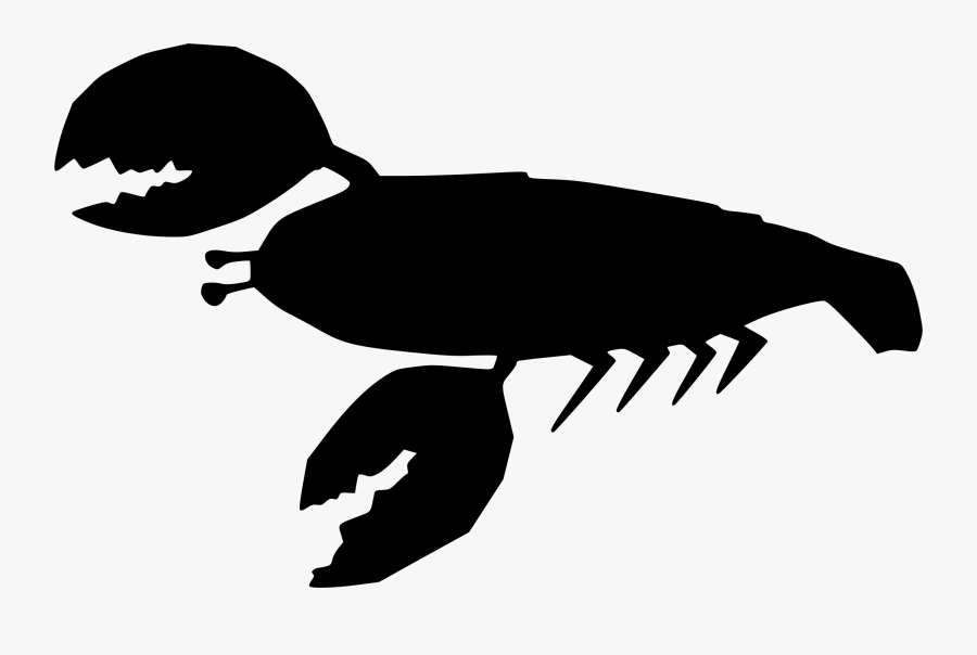 Water Bird,monochrome Photography,artwork, Transparent Clipart