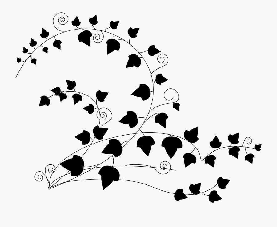 Line Clipart Ivy, Transparent Clipart