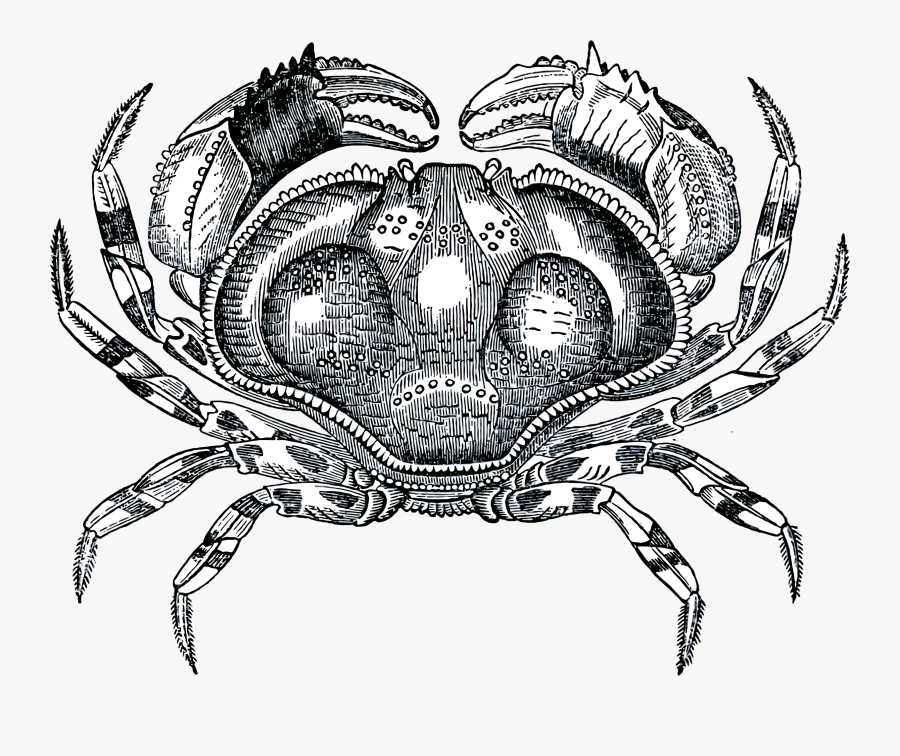 Grayscale Crab Clip Arts, Transparent Clipart