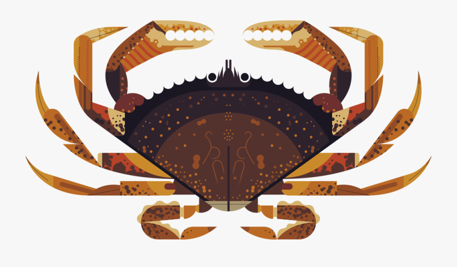 Dungeness Crab, Transparent Clipart