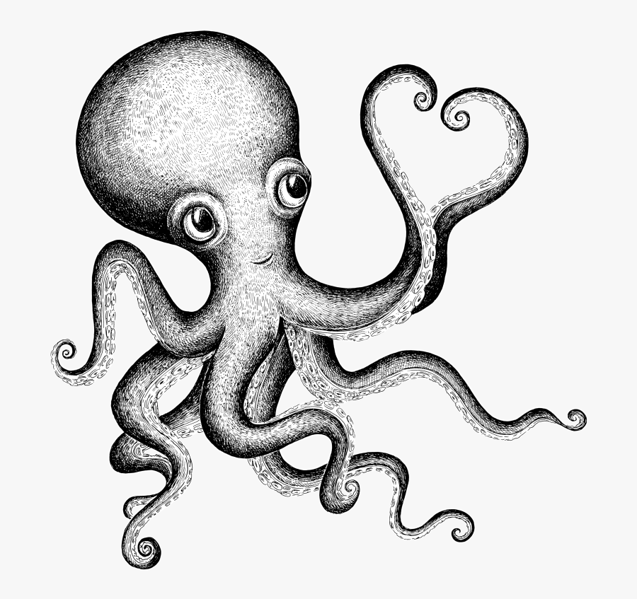 Jpg Stock Valentine S Day Drawing Clip Art Octapus - Black And White Octopus, Transparent Clipart