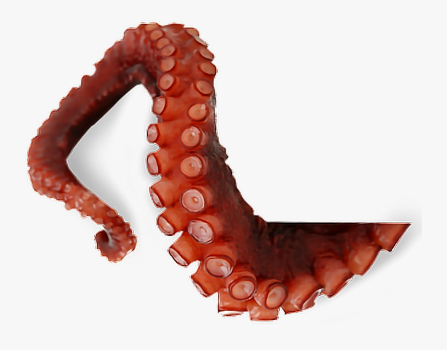 Clip Art Black And White Download Png For Free Download - Octopus Tentacles, Transparent Clipart