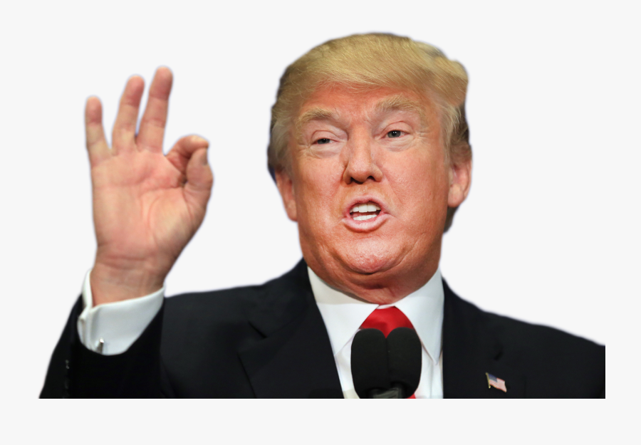 29308 - Ugly Pics Of Donald Trump, Transparent Clipart