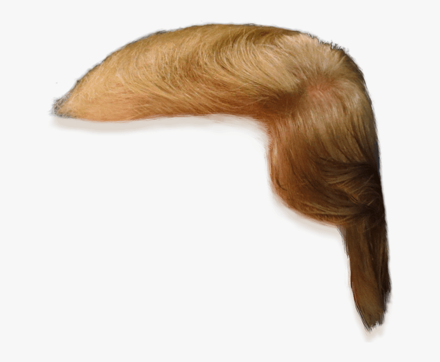 Donald Trump Hair Side View Png Clipart - Donald Trump Hair Only, Transparent Clipart