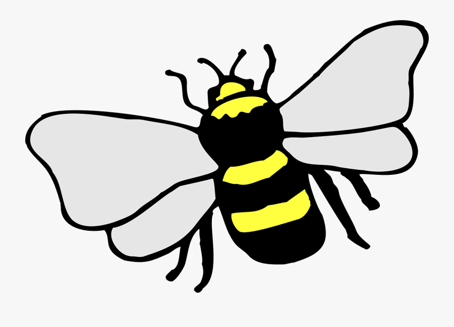 Transparent Bumblebee Insect Clipart - Simple Bee Drawing Transparent, Transparent Clipart
