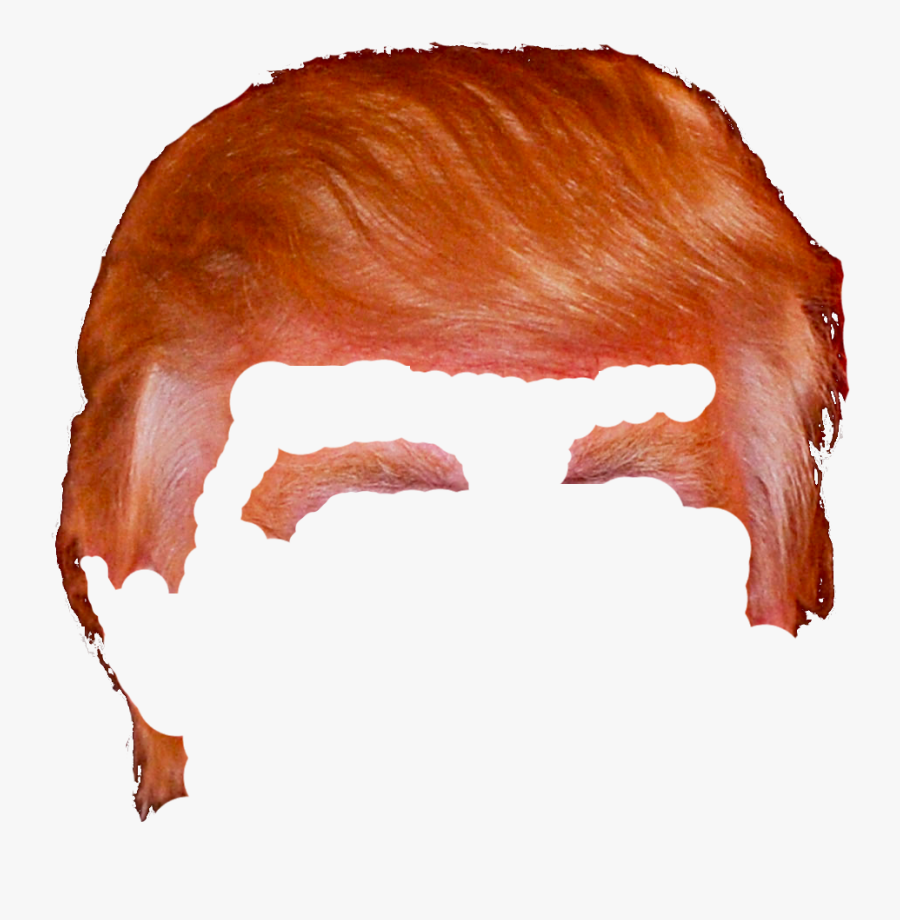 Donald Trump Ryan And - Transparent Background Trump Hair, Transparent Clipart