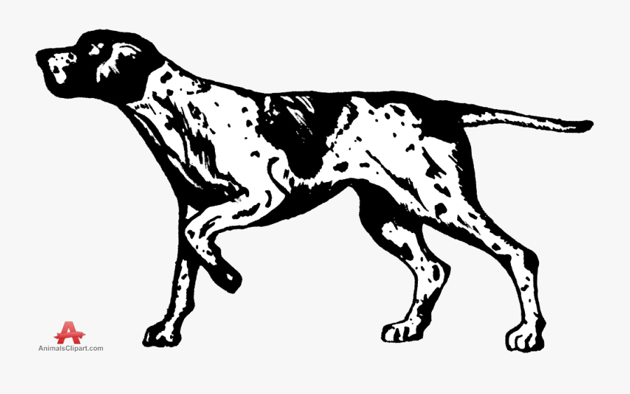 Dog Clipart Images Of Hunting Dogs Collection Transparent - Hunting Dog Clipart, Transparent Clipart