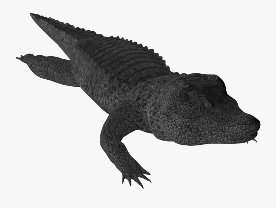 Png Free Download Crocodile Clipart Small Alligator - Nile Crocodile, Transparent Clipart