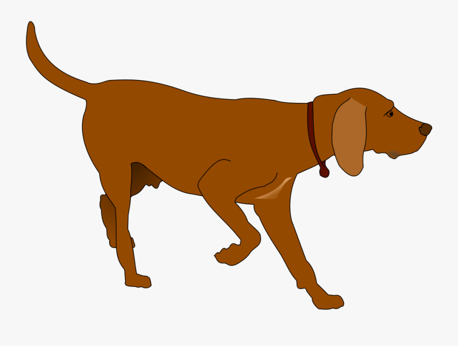 German Shorthaired Pointer Clipart At Getdrawings - Hunter Clipart, Transparent Clipart