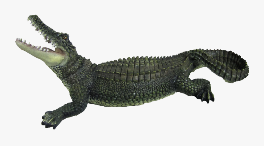 Png Of Crocodile - Crocodile Png, Transparent Clipart