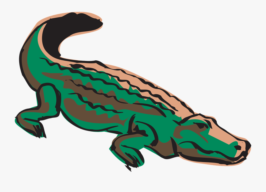Caiman Del Orinoco Animado, Transparent Clipart